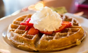 $20 Punch Card for Belgian Waffles & Omelets